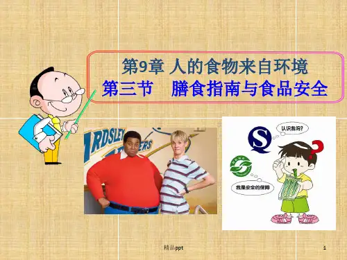膳食指南与食品安全ppt课件