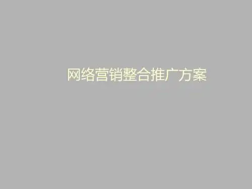 2011年最新网络营销推广方案案例PPT