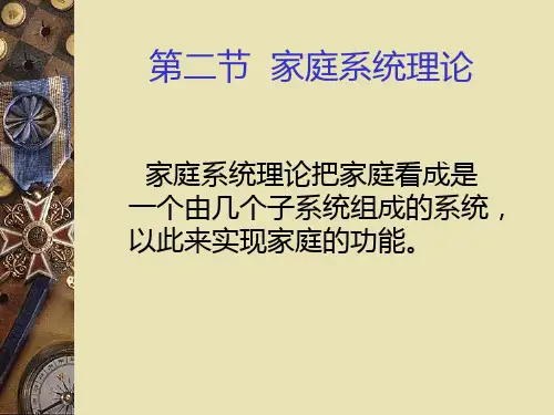 家庭社会工作课件(业界精制)