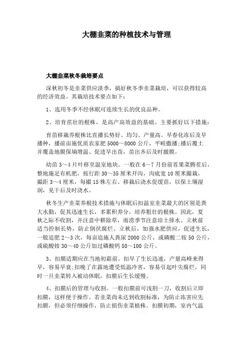 大棚韭菜的种植技术与管理