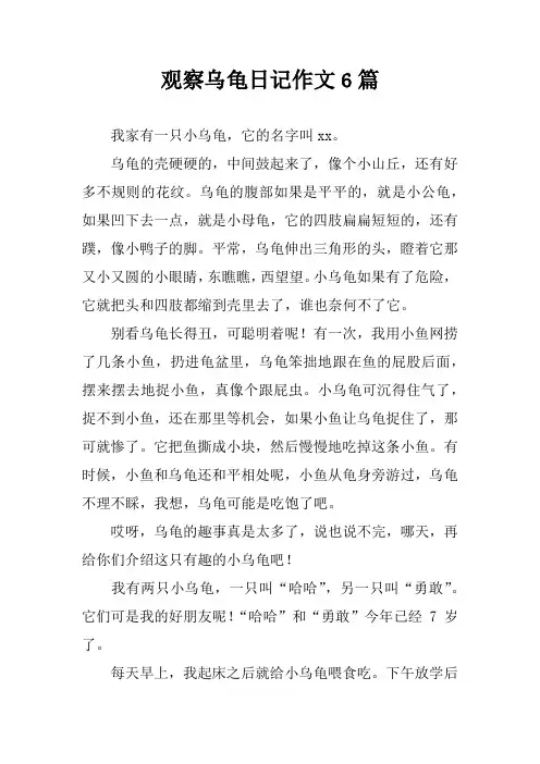 观察乌龟日记作文6篇