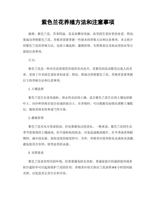 紫色兰花养殖方法和注意事项