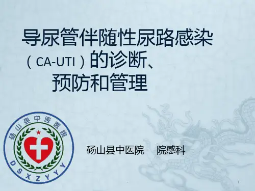 导尿管相关性尿路感染预防措施PPT课件