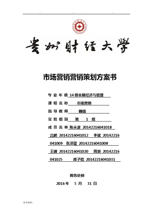 市场营销方案项目策划书