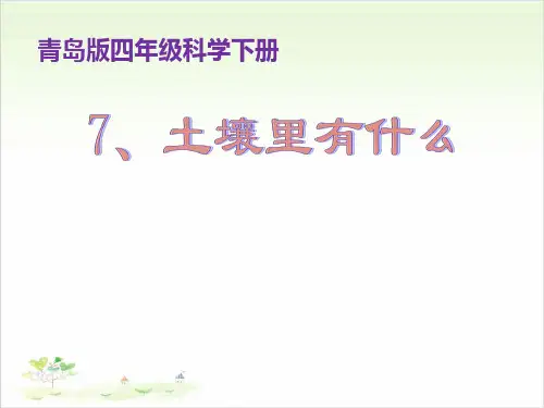 四年级下册科学-7土壤里有什么-青岛版-PPT课堂课件