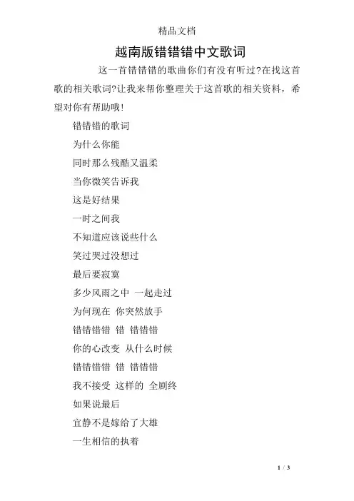 越南版错错错中文歌词
