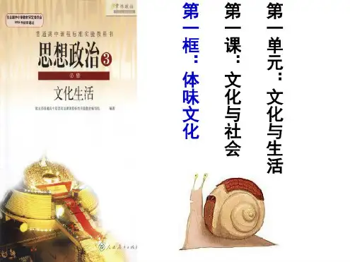 高二政治人教版必修三文化生活第一课第一框:体味文化