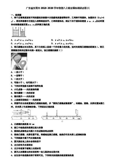 广东省东莞市2019-2020学年物理八上期末模拟调研试卷(4)