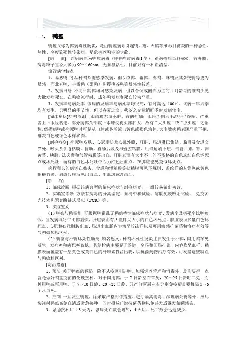 鸭病诊断与防治[精品文档]