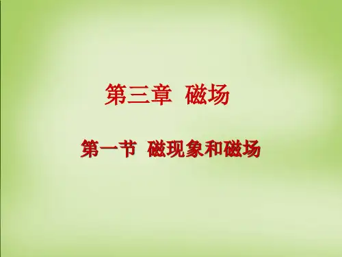 3.1《磁现象和磁场》ppt课件