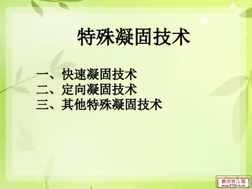 特殊凝固技术—杨雪