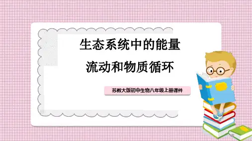 初中生物苏教版八年级上册 《生态系统中的能量流动和物质循环》课件PPT模板
