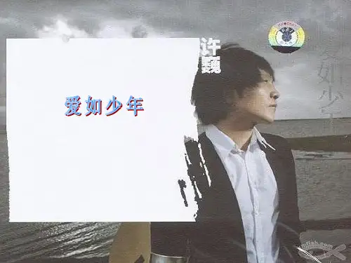 许巍    2008年    爱如少年   12首歌词大全