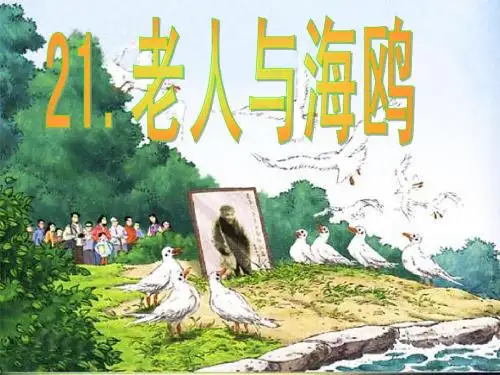 《上课用老人与海鸥》课件