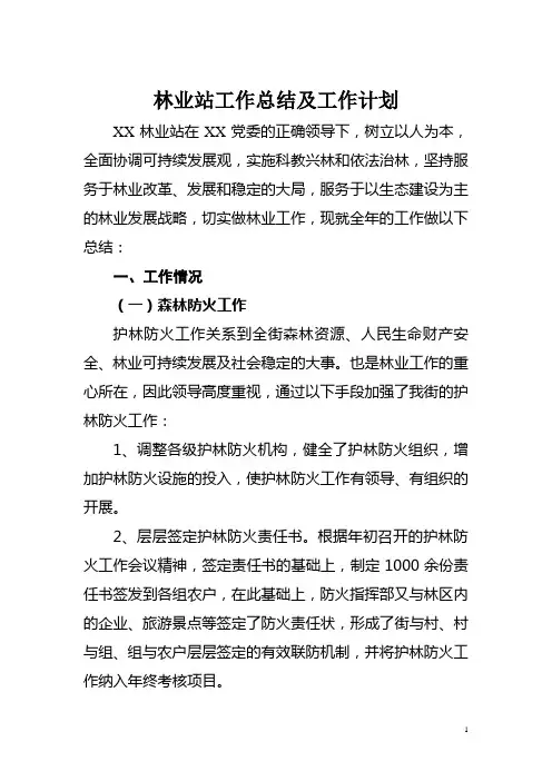 林业站工作总结及工作计划