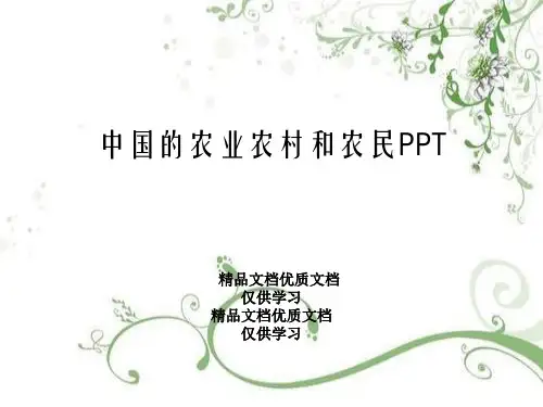 中国的农业农村和农民PPT