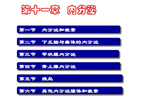 生理学课件第十一章  内分泌