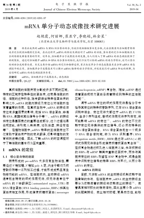 mRNA单分子动态成像技术研究进展