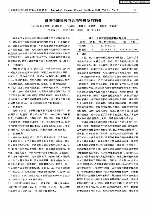 肾虚性膝骨关节炎动物模型的制备