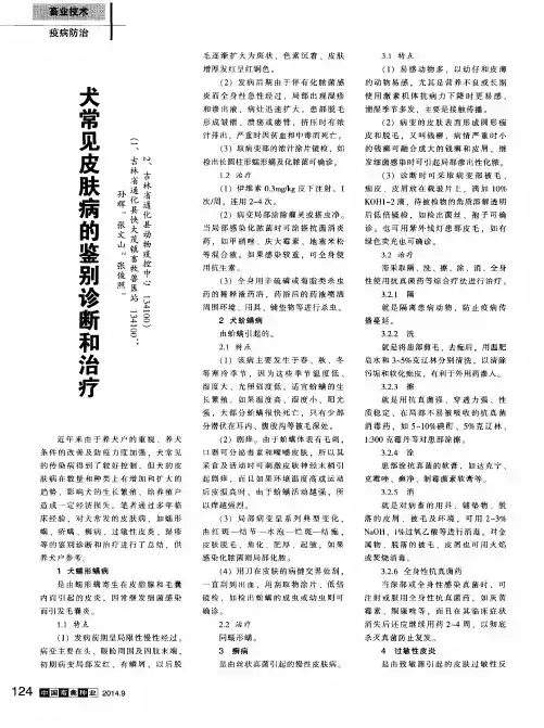 犬常见皮肤病的鉴别诊断和治疗
