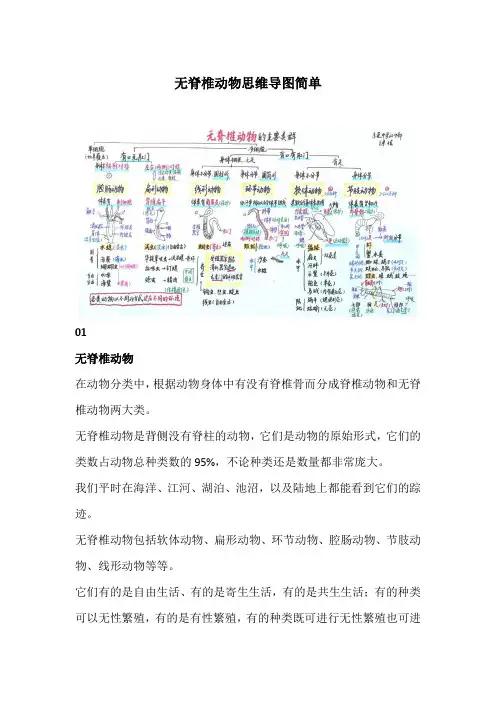 无脊椎动物思维导图简单
