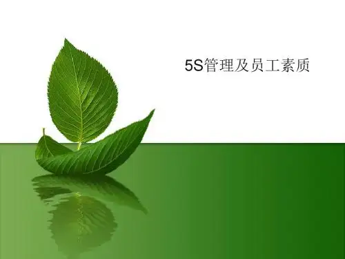 5S与员工素养.