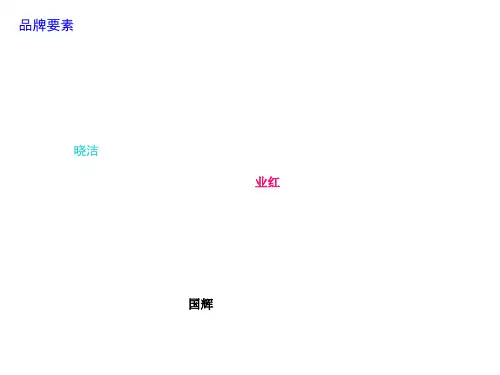 品牌要素标准概述