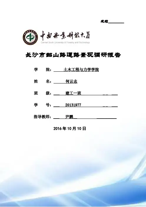 道路景观调研报告