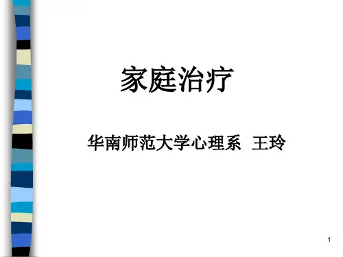 家庭系统治疗ppt课件