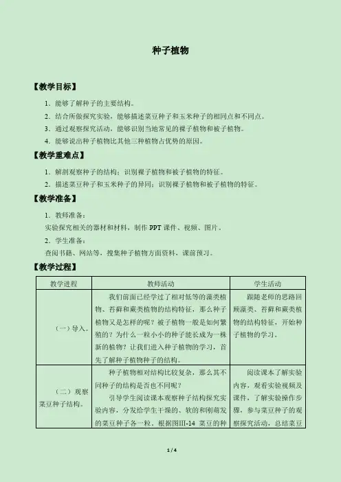 鲁科版(五四学制)生物六年级下册：1.3 种子植物  教案