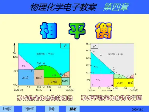 第四章相平衡