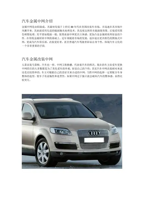 汽车金属中网