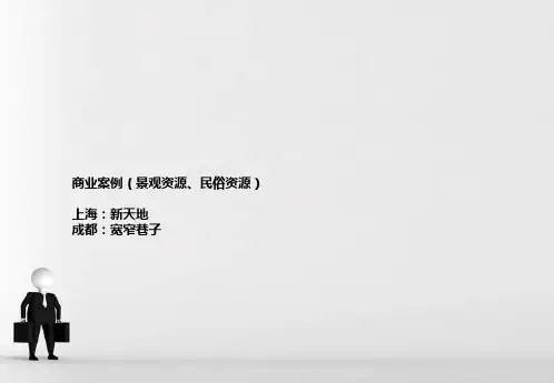 各种典型商业街 案例