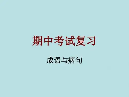 成语与病句