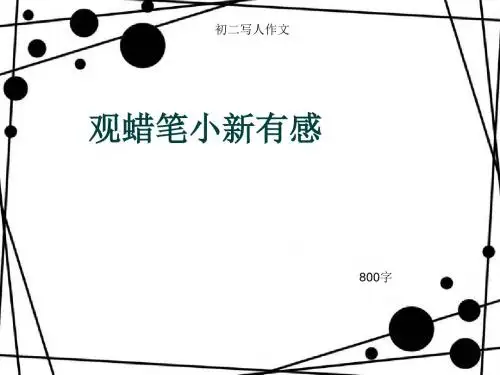 初二写人作文《观蜡笔小新有感》800字(总11页PPT)