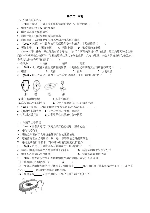 2019年中考生物真题分类：细菌