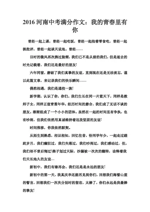 2016河南中考满分作文：我的青春里有你