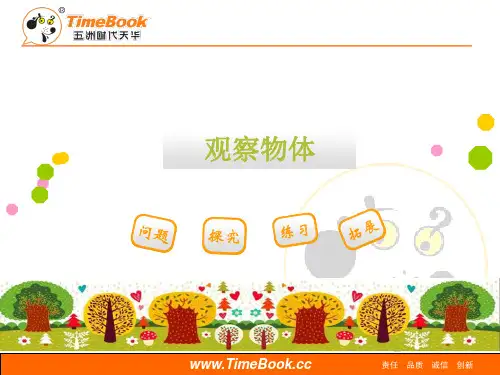 二年级数学观察物体复习课