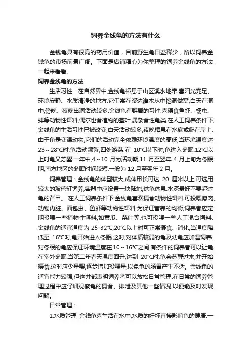 饲养金线龟的方法有什么