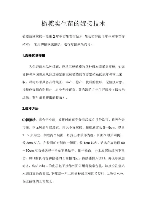 嫁接技术 2