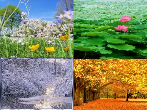 新版一年级上册-课文(一)1.《秋天》人教(部编版)(共23张PPT)
