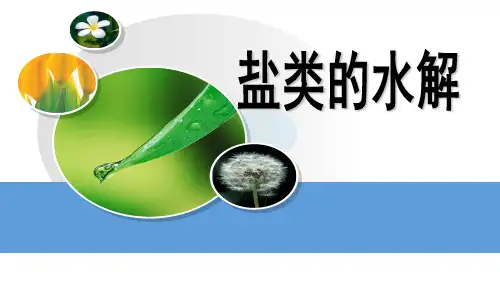 人教版高中化学选修四水溶液中的离子平衡盐类水解PPT精品课件