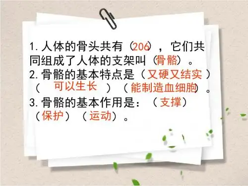 苏教版小学科学四年级下学期《2.关节》