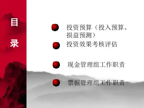 罗兰贝格华润万佳财务预算58页PPT