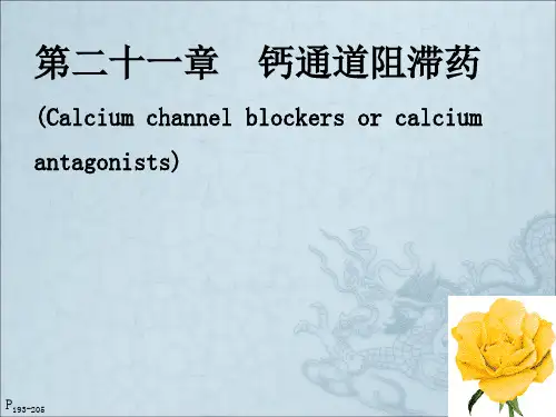 《钙通道阻滞药》PPT课件