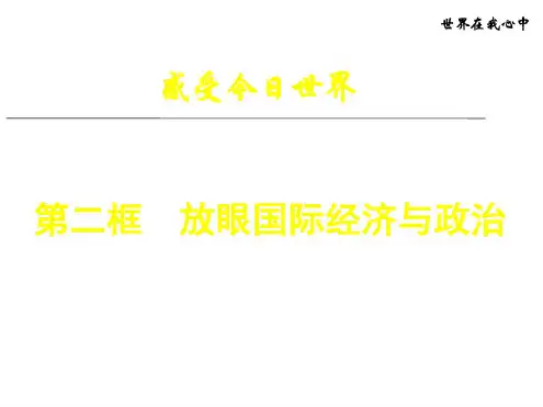 九年级政治放眼国际经济与政治