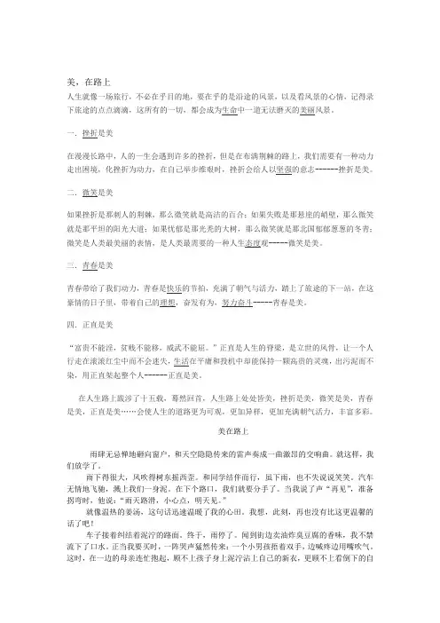 美在路上  满分作文6篇