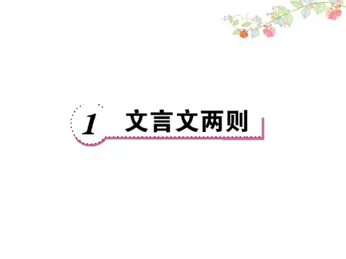 六年级语文下文言文两则练习题