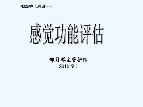 感觉功能评估 PPT