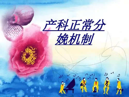 产科正常分娩机制讲义